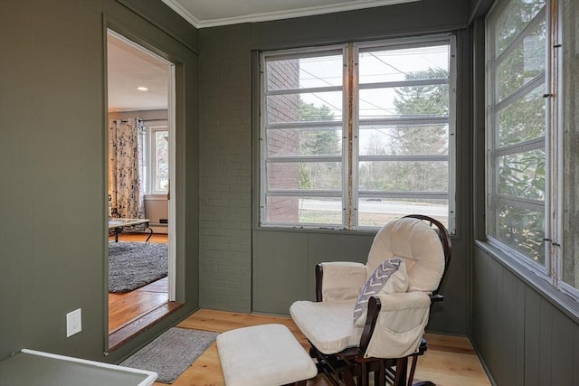 living area with light wood-style floors and crown molding