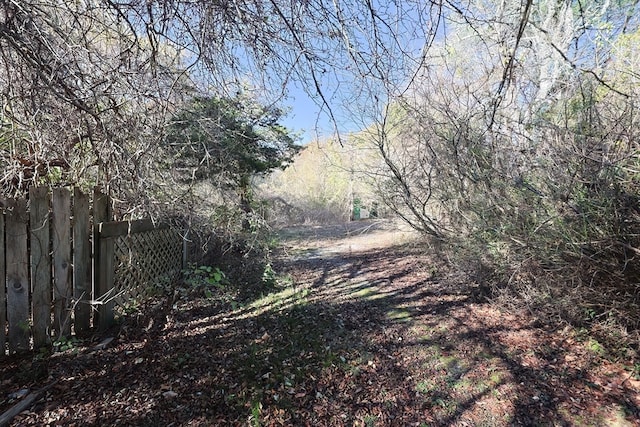 view of local wilderness