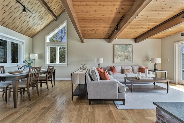 17 Wagon Wheel Rd, Winchester, MA 01890 - living area with rail lighting, wood ceiling, light wood-style floors, and baseboards