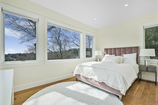 17 Wagon Wheel Rd, Winchester, MA 01890 - bedroom with wood finished floors, baseboards, and recessed lighting