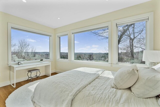 17 Wagon Wheel Rd, Winchester, MA 01890 - bedroom with baseboards, wood finished floors, and recessed lighting