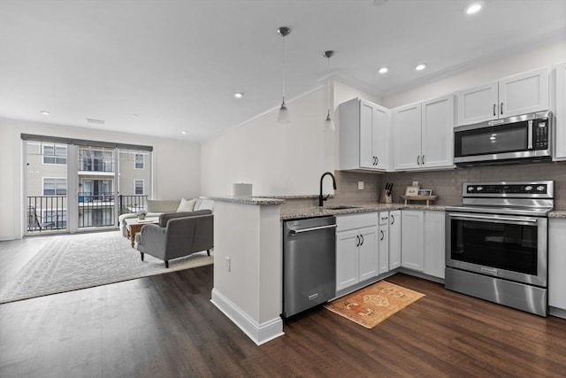 69 Foundry St Unit 305, Wakefield, MA 01880 - kitchen featuring stainless steel appliances, dark wood finished floors, open floor plan, tasteful backsplash, and recessed lighting