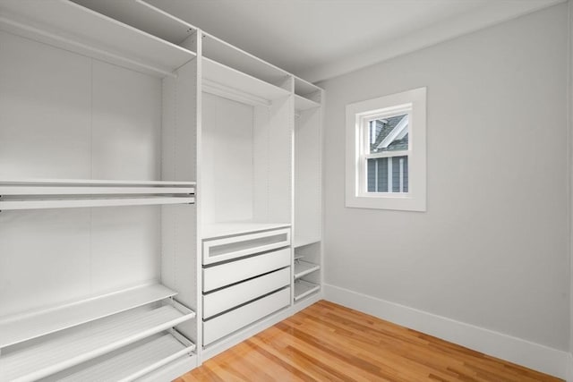 walk in closet with light wood-style floors