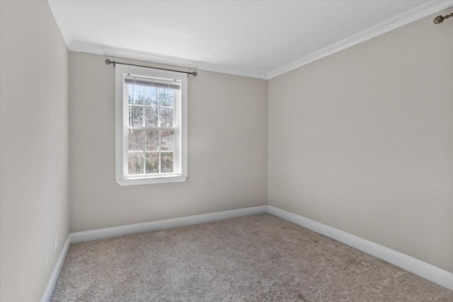 859 Pleasant St, Canton, MA 02021 - carpeted empty room with crown molding and baseboards