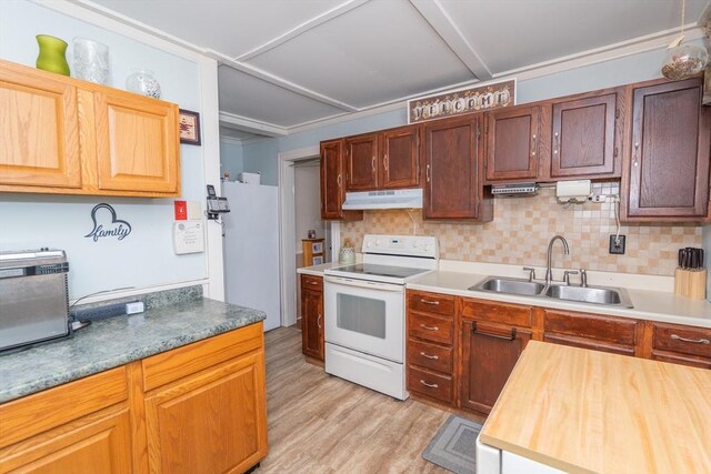 kitchen with a sink, under cabinet range hood, light wood-type flooring, white range with electric cooktop, and backsplash