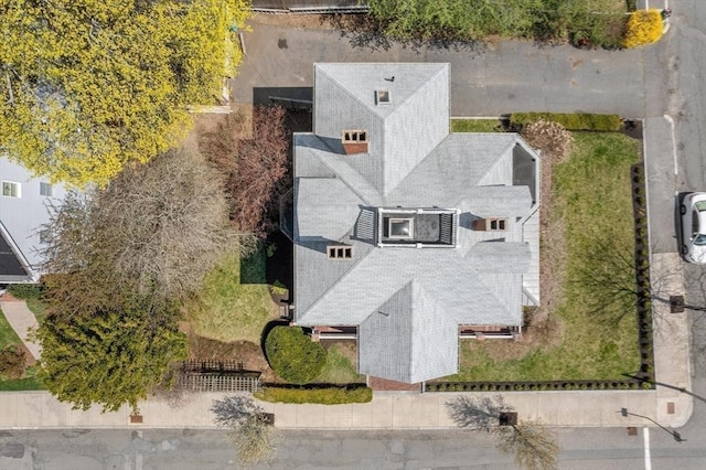 bird's eye view