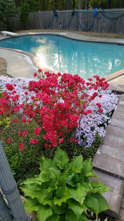 16 Gilbert Way, Millbury, MA 01527 - view of pool