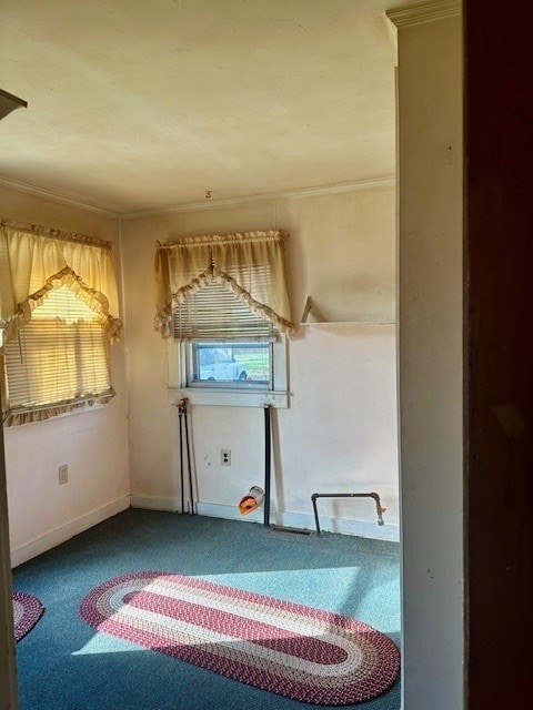 interior space featuring multiple windows, crown molding, and carpet floors