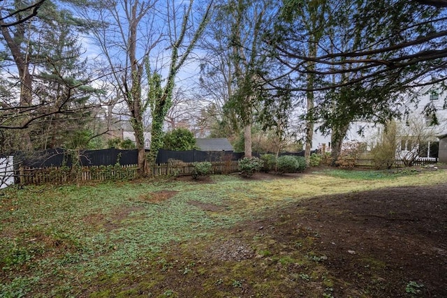 view of yard featuring fence