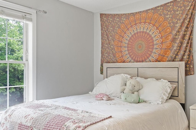 24 Joel Scott Dr, Holden, MA 01520 - bedroom featuring lofted ceiling