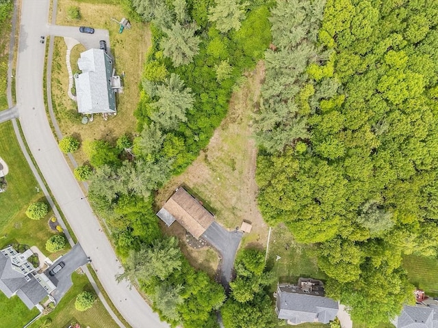 24 Joel Scott Dr, Holden, MA 01520 - aerial view of property and surrounding area