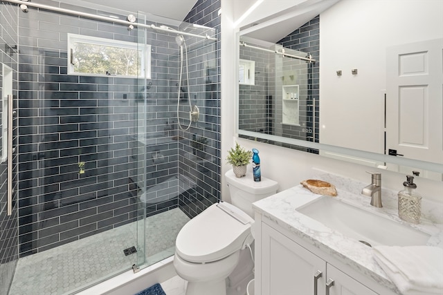 bathroom with vanity, toilet, and walk in shower