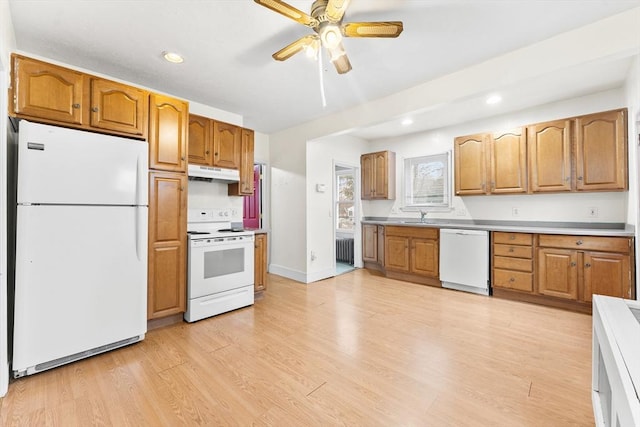 kitchen with radiator, sink, ceiling fan, white appliances, and light hardwood / wood-style flooring