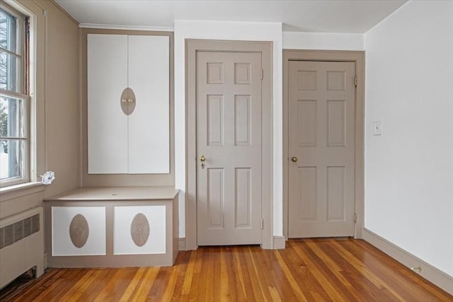 closet featuring radiator