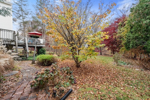 view of yard with a deck