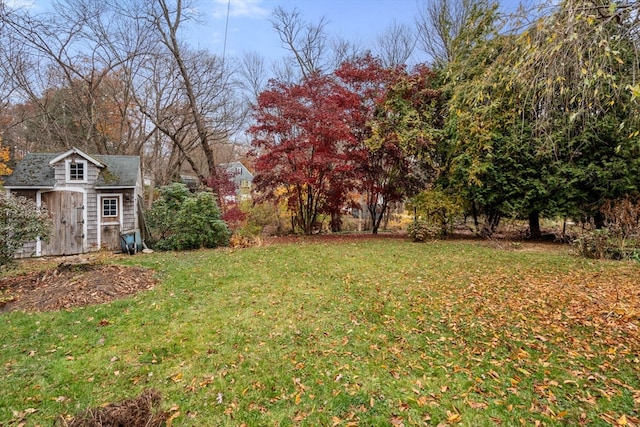 view of yard featuring a shed