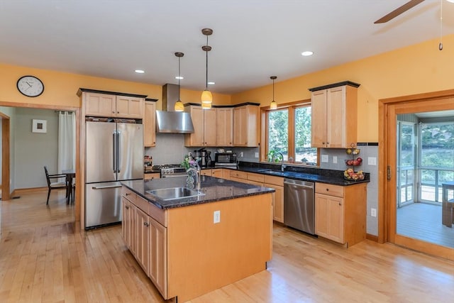 kitchen with wall chimney range hood, a healthy amount of sunlight, light wood-type flooring, a sink, and stainless steel appliances