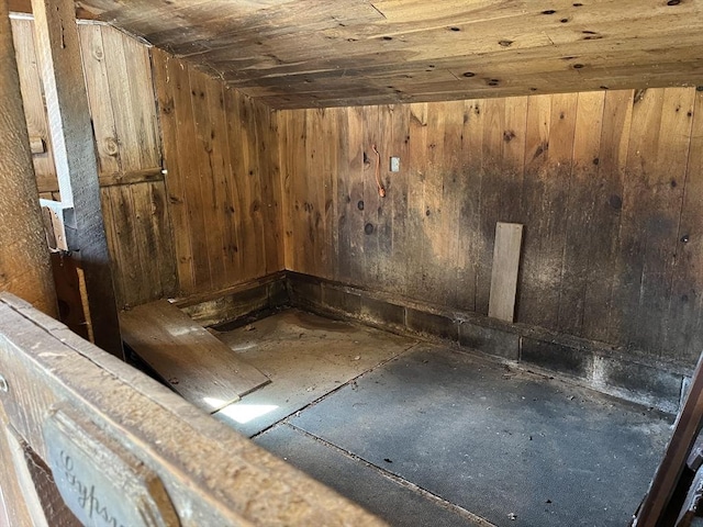 interior space featuring wooden walls and wooden ceiling