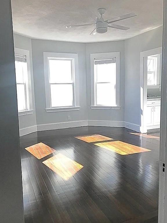 124 Grant Ave, Medford, MA 02155 - spare room with baseboards, hardwood / wood-style flooring, and ceiling fan