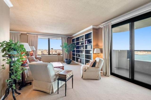 living area featuring carpet floors and a textured ceiling