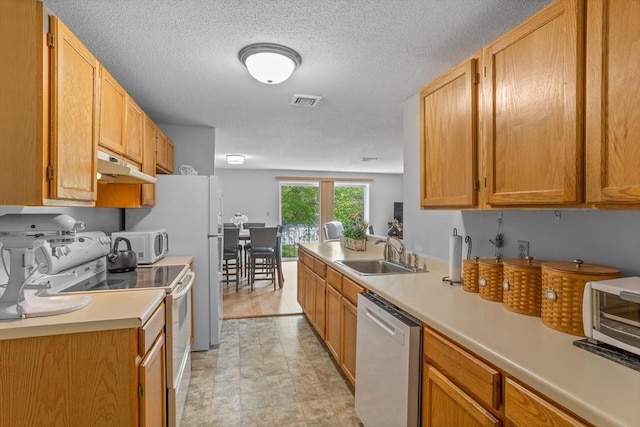 181 Littleton Rd Unit 333, Chelmsford, MA 01824 - kitchen with white appliances, a sink, under cabinet range hood, light countertops, and a textured ceiling