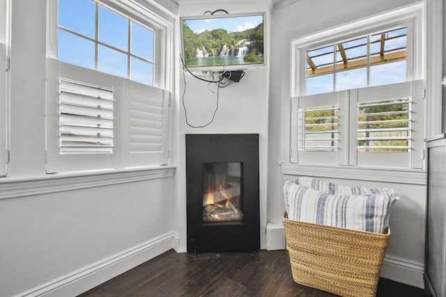 detailed view of wood finished floors, a glass covered fireplace, and baseboards
