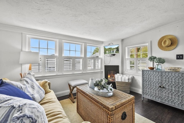 living room featuring wood finished floors, crown molding, baseboards, a glass covered fireplace, and a textured ceiling