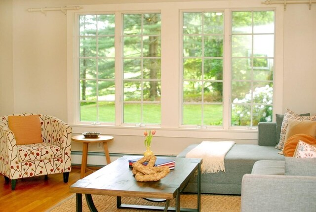 1074 Concord Rd, Sudbury, MA 01776 - living area with plenty of natural light and wood finished floors
