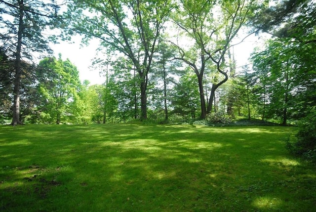 1074 Concord Rd, Sudbury, MA 01776 - view of grassy yard