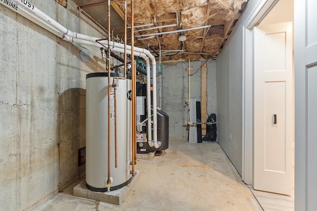 basement featuring gas water heater