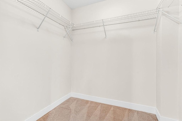 321 Hammond Pond Pkwy Unit 103, Brookline, MA 02467 - walk in closet with carpet