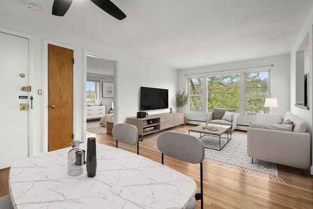150 Main St Unit 12, Stoneham, MA 02180 - living area featuring wood finished floors, ceiling fan, and a baseboard radiator
