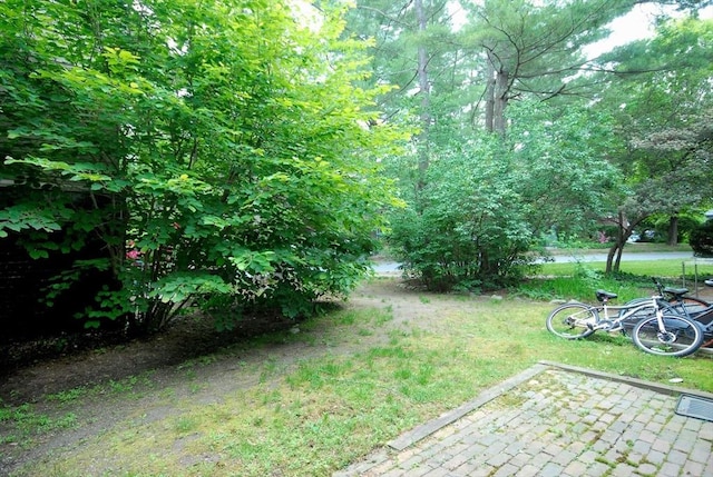 238 Brown Bear Xing Unit 238, Acton, MA 01720 - view of green lawn