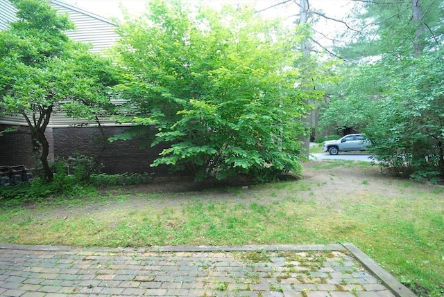 238 Brown Bear Xing Unit 238, Acton, MA 01720 - view of yard
