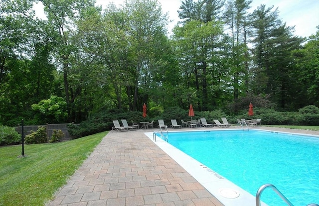 238 Brown Bear Xing Unit 238, Acton, MA 01720 - community pool featuring a patio and a yard
