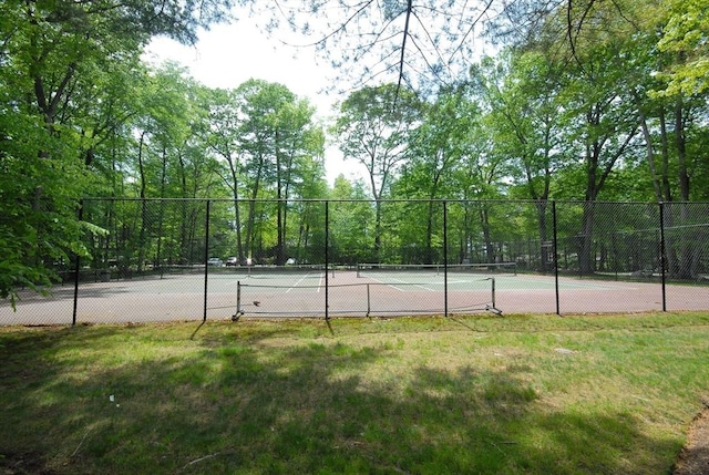 238 Brown Bear Xing Unit 238, Acton, MA 01720 - view of tennis court