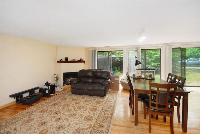 238 Brown Bear Xing Unit 238, Acton, MA 01720 - living area featuring light wood-type flooring and a fireplace