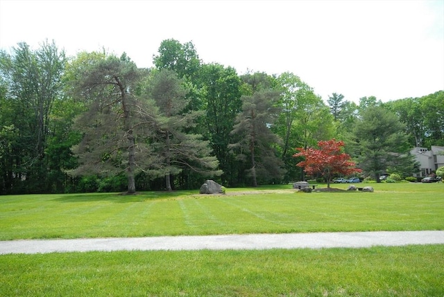238 Brown Bear Xing Unit 238, Acton, MA 01720 - view of property's community with a yard