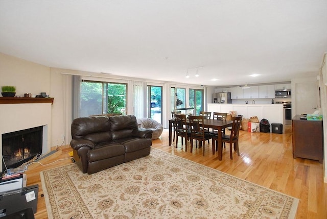 238 Brown Bear Xing Unit 238, Acton, MA 01720 - living area featuring healthy amount of natural light, light wood-style floors, and a lit fireplace