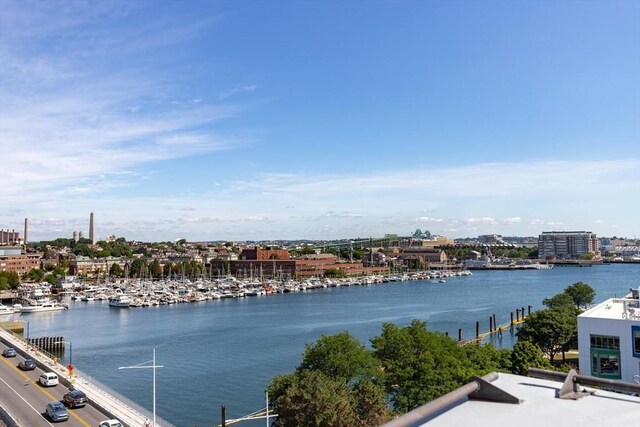 234 Causeway St Apt 709, Boston, MA 02114 - view of water feature