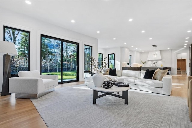 living room featuring light wood-type flooring