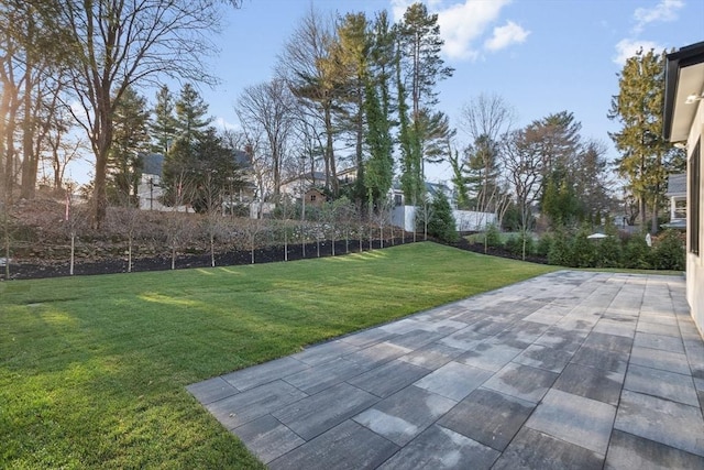 view of yard featuring a patio area