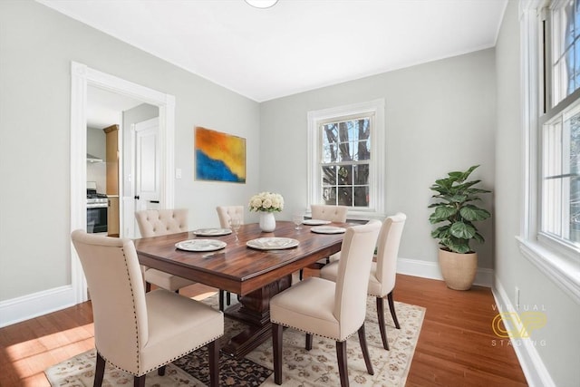 dining space with wood-type flooring and a wealth of natural light