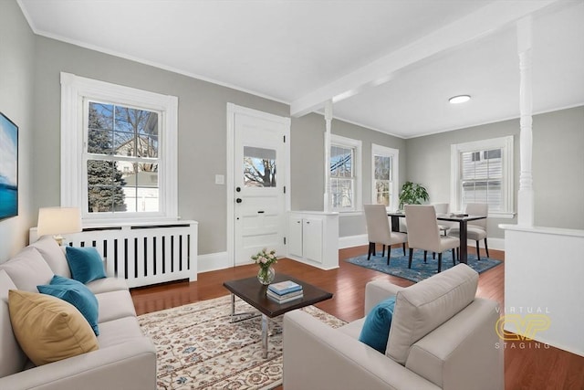 living room featuring hardwood / wood-style floors and plenty of natural light