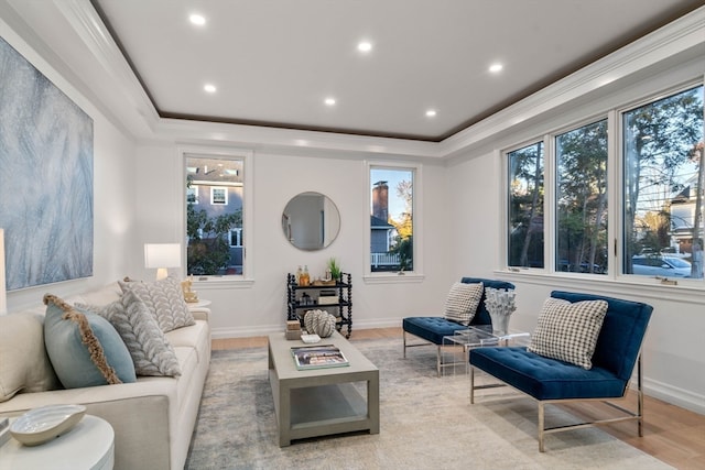 living room featuring a raised ceiling, light wood-type flooring, and crown molding