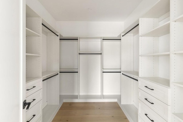 224 Auburn St Unit F, Newton, MA 02466 - spacious closet with light wood-style flooring