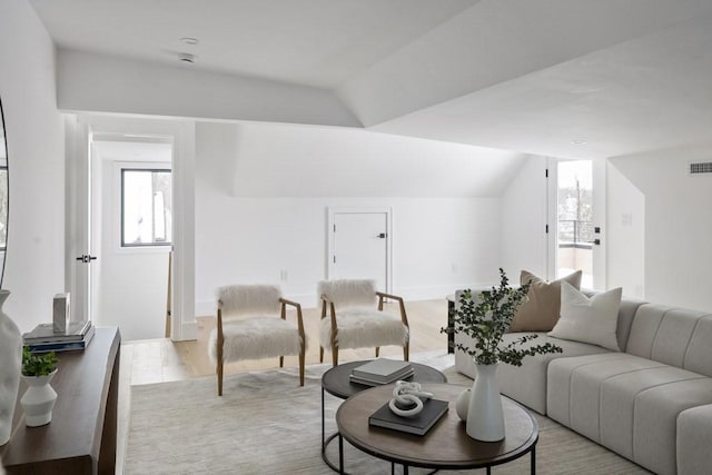 224 Auburn St Unit F, Newton, MA 02466 - living room with vaulted ceiling and light wood finished floors