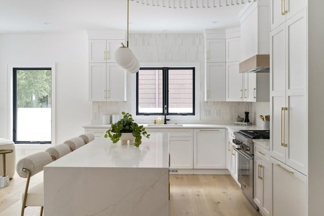 224 Auburn St Unit F, Newton, MA 02466 - kitchen featuring stainless steel range, custom range hood, light wood-style floors, and tasteful backsplash