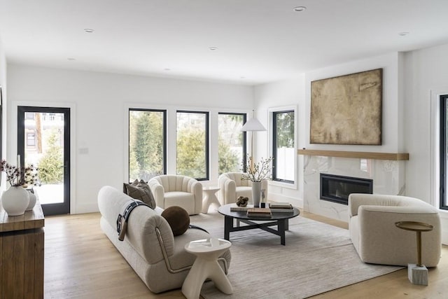 224 Auburn St Unit F, Newton, MA 02466 - living room with a premium fireplace and light wood-type flooring