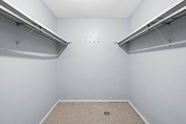 spacious closet with carpet floors